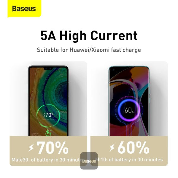 Baseus Cafule Series Metal Data Cable Type-C to Type-C 100W 2M - Black
