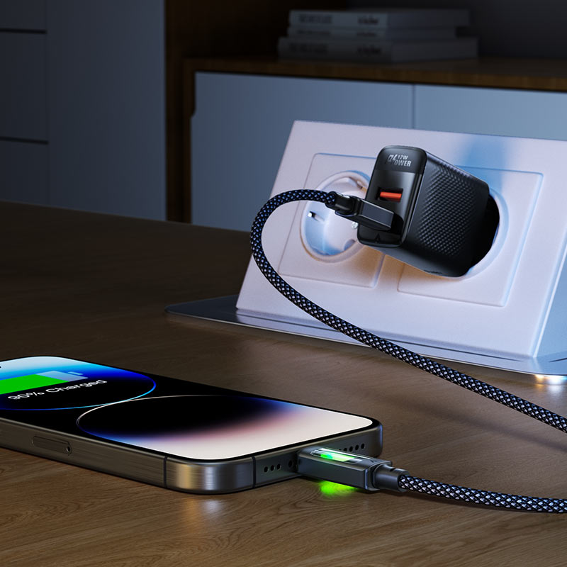 Charging Data Cable C21-03 USB-C to USB-C 60W