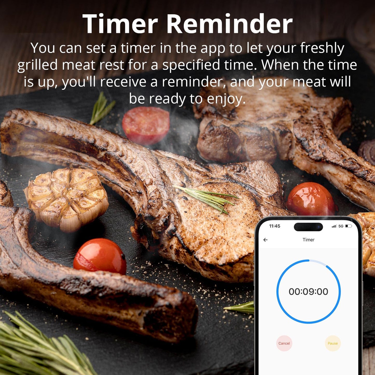 SONOFF Meat Thermometer, Wireless Meat Thermometer for Smoker Oven, Digital Grill Thermometer with 2 Probes, Timer Mode,Smart LCD Backlight,Notification Alert,BBQ Thermometer