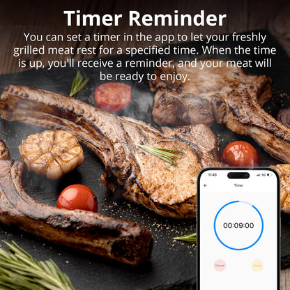 SONOFF BBQ Meat Thermometer | BMT01